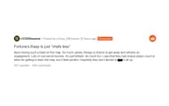 A comment from a Reddit user (Image via Reddit)